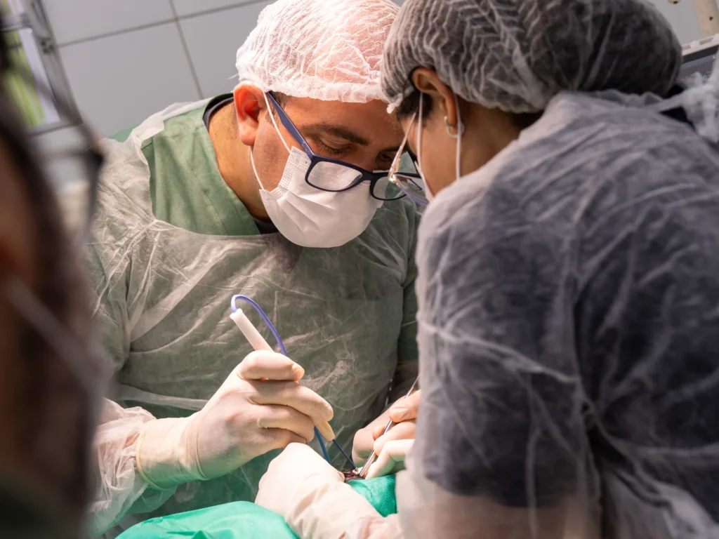 dr homero firmo cirurgia bloco cirúrgico pets house