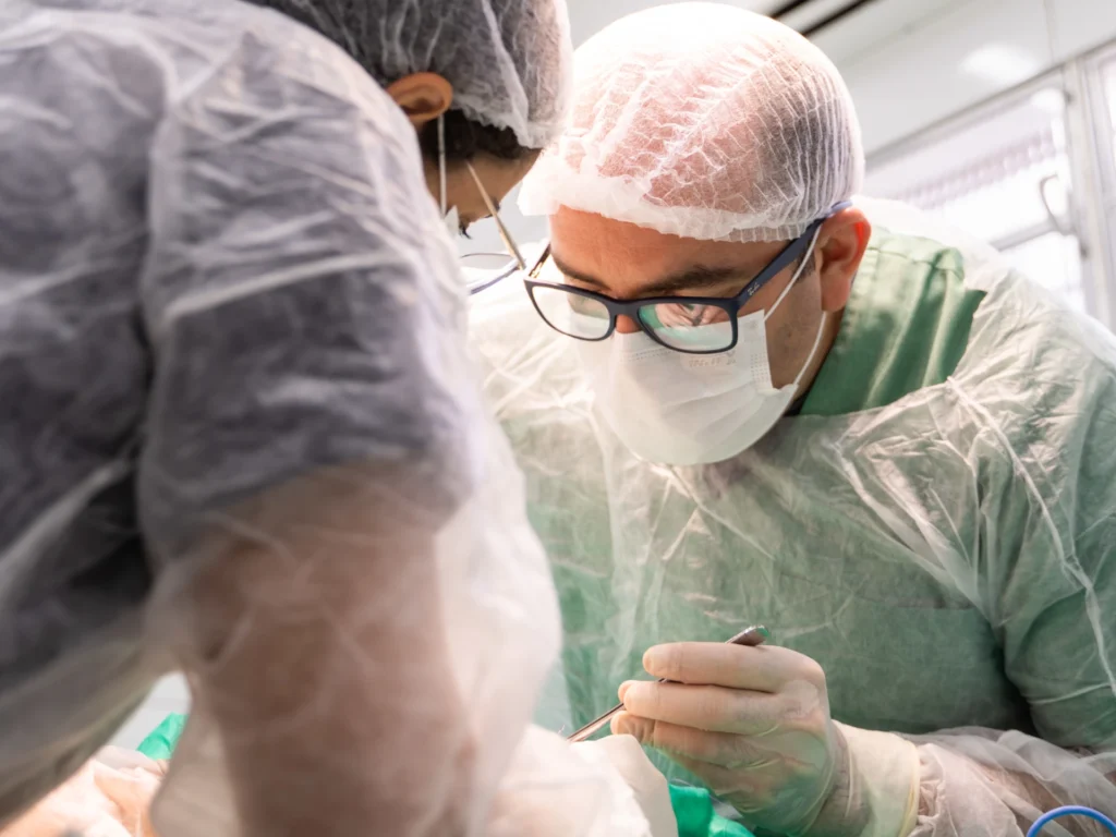 dr homero realizando cirurgia pet