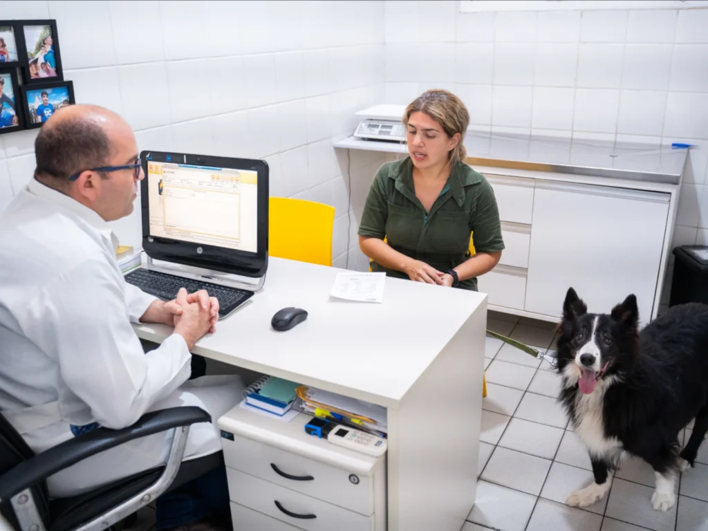 oncologia-veterinaria-pets-house-recife