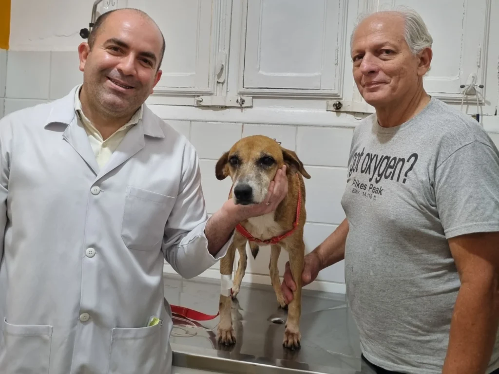 veterinário homero firmo atendimento tutor e cachorro clínica quimioterapia pets house graças